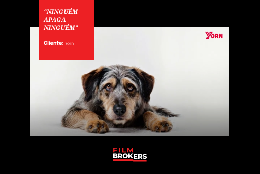 FilmBrokers_Yorn